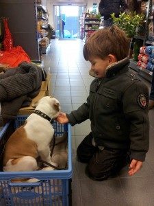 kinderen leren omgaan met honden