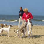 Koekjes geven aan vreemde honden